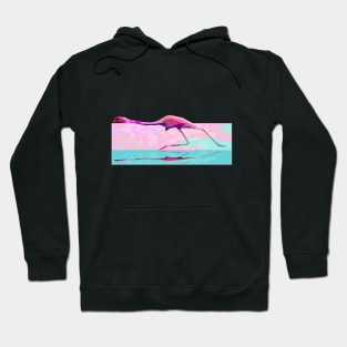 Pink Flamingo Hoodie